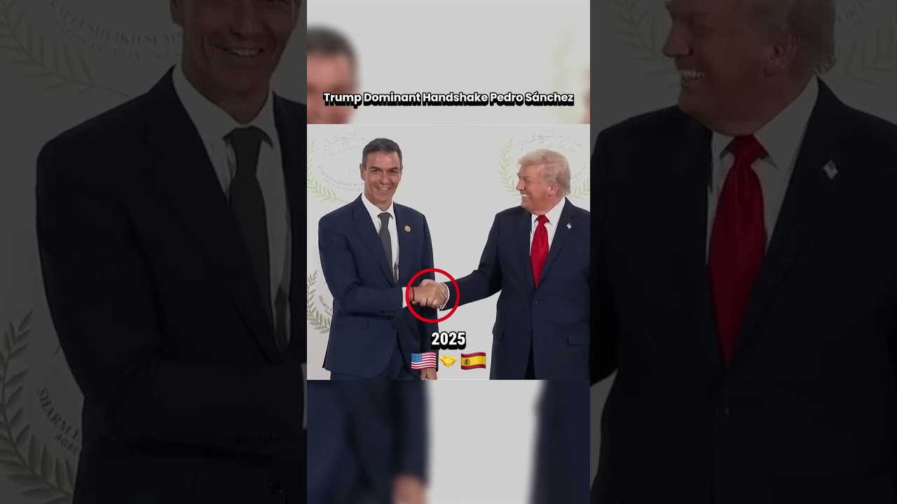 Trump & Pedro S&aacute;nchez: Tense Moments ⚡ #trump #history #shorts #viral