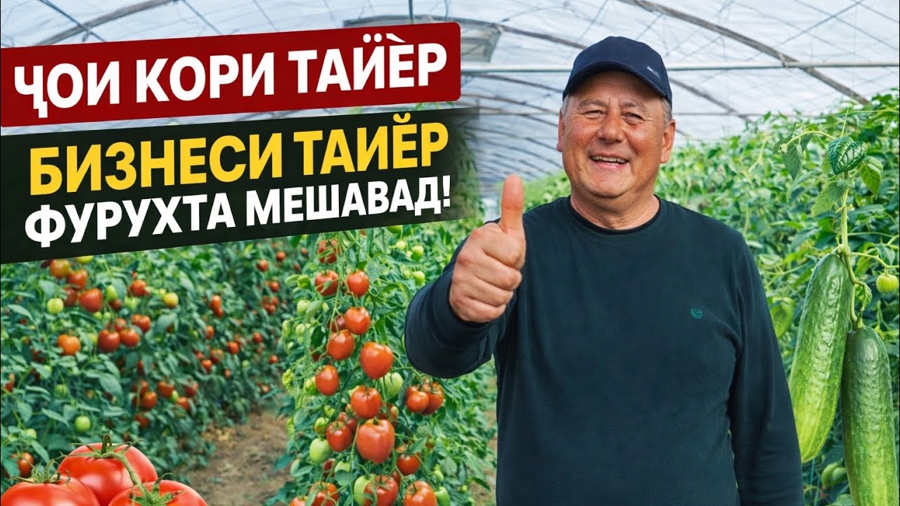 АЗ 16СОТИҚ ГАРМХОНА ЧИҚАДАР ДАРОМАД ГИРИФТАН МУМКИН ПАРНИКИ ФУРУШИ 16 февраля 2026 г.