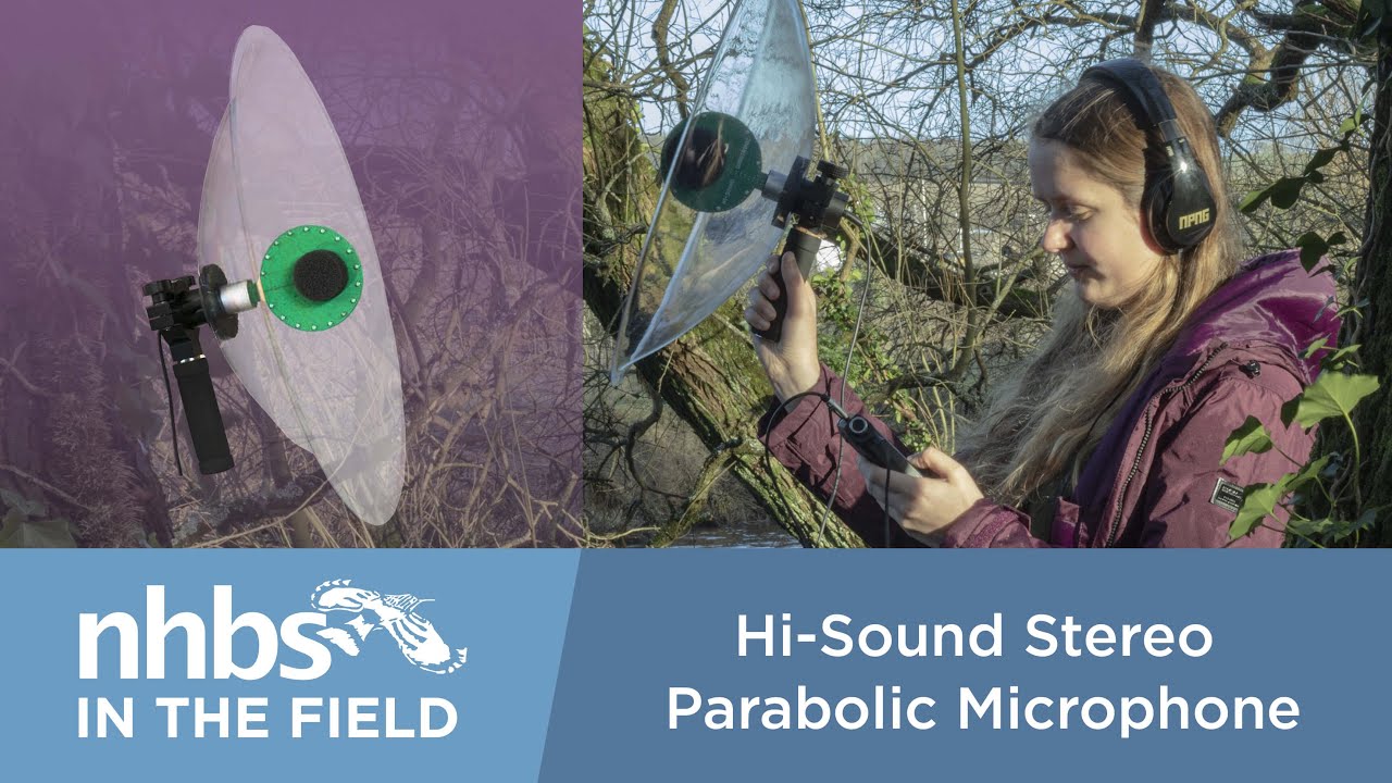 NHBS: In the Field - Hi-Sound Stereo Parabolic Microphone