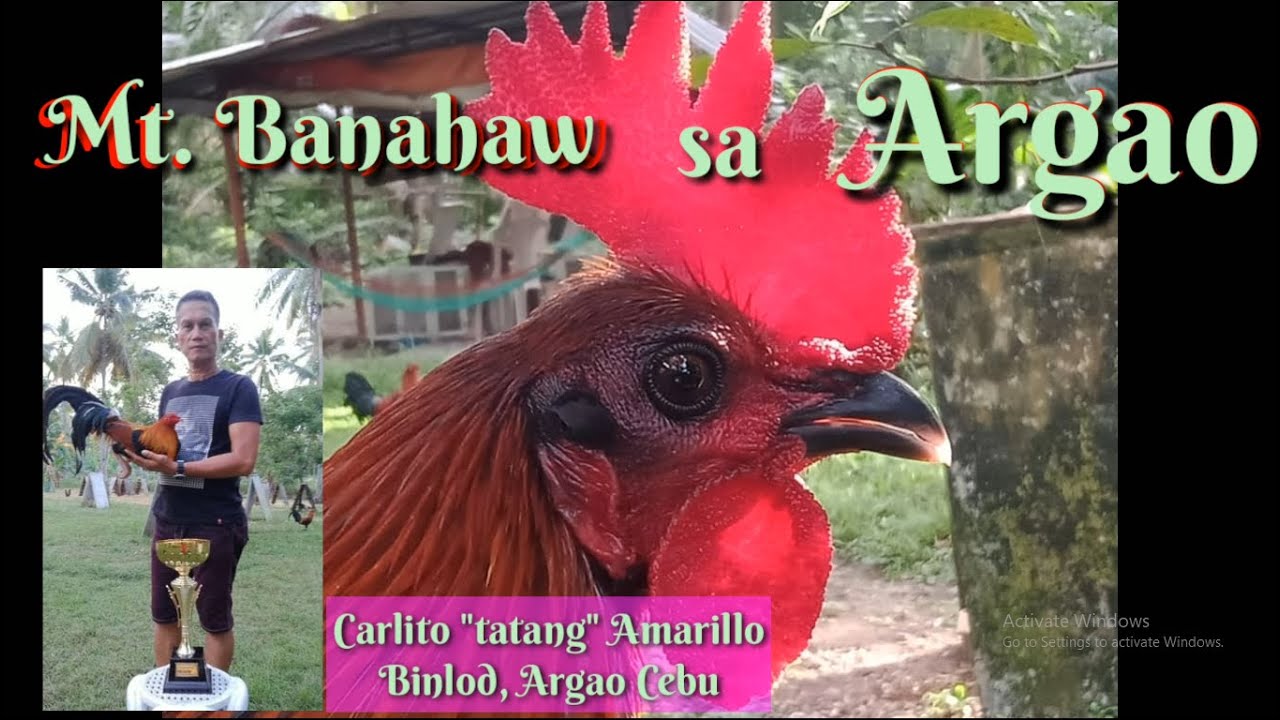EP89 part 2: Mt. Banahaw sa Argao, Cebu with 
