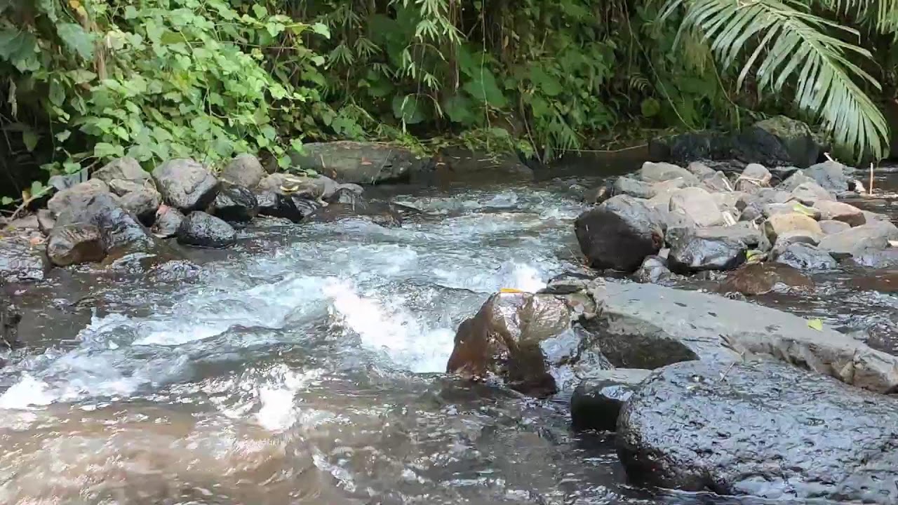 Relaxing River Sound for Study & Focus -  Forest Stream Ambience