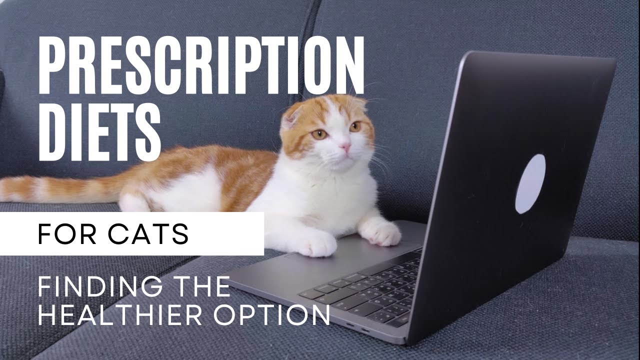 A Whole Food Prescription Diet For Cats | Two Crazy Cat Ladies