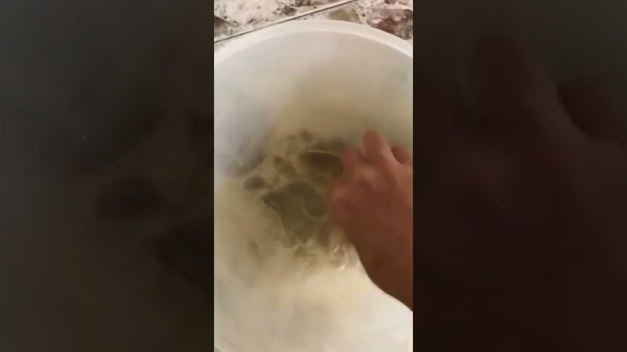 🤙🤤&bull;Receta que necesitas para tener un desayuno delicioso&bull;🤤🤙