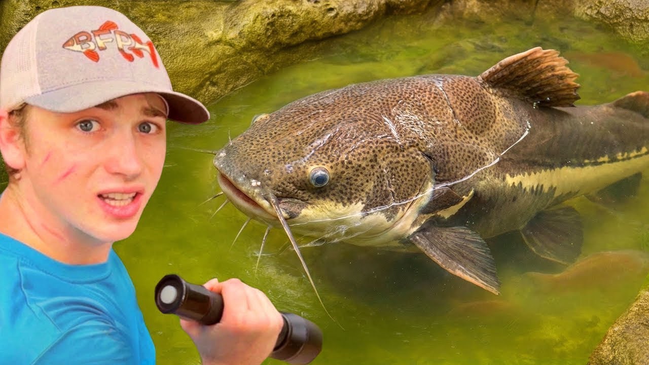 Ich habe verlassene Fische aus einem &uuml;blen Schleimteich gerettet!