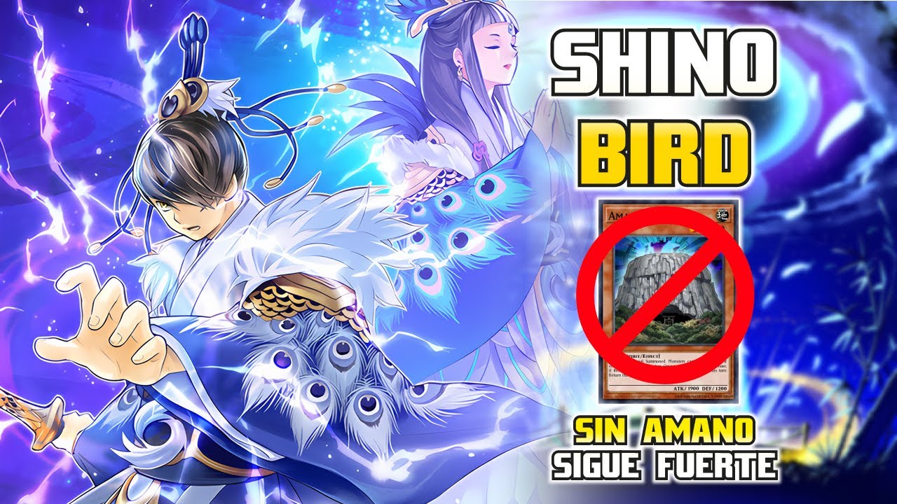 Shinobird  Actualizado🦚 | ¿Cómo funciona sin Amano-Iwato? | Guía Duel Links