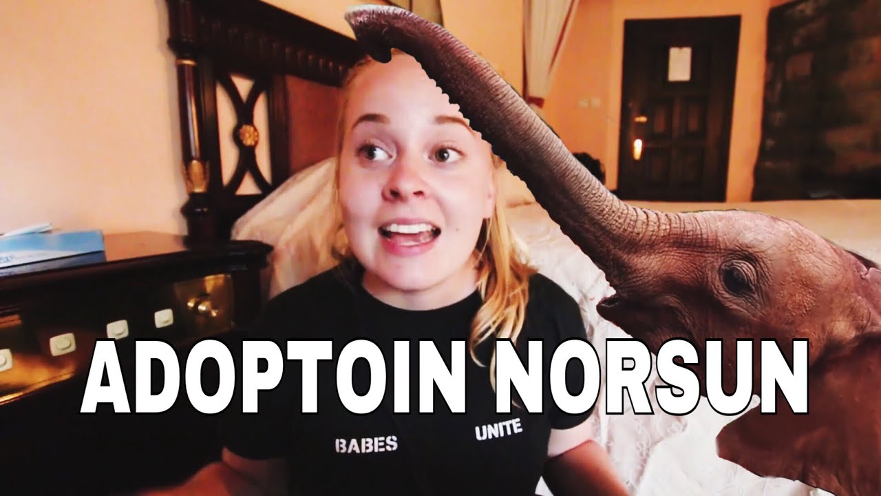 ADOPTOIN NORSUN | SAFARIPÄIVÄKIRJAT osa 3