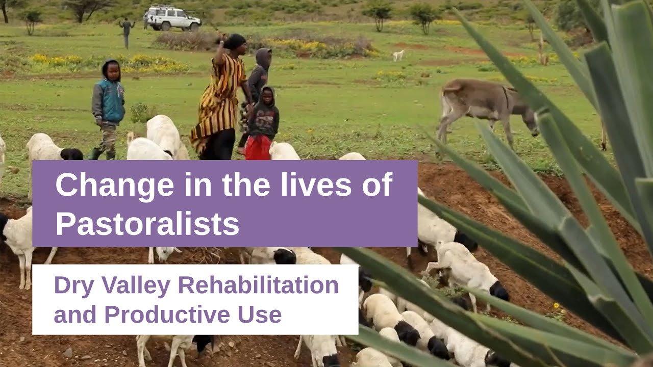 Changes in the lives of pastoralists: Together against dwindling livelihoods