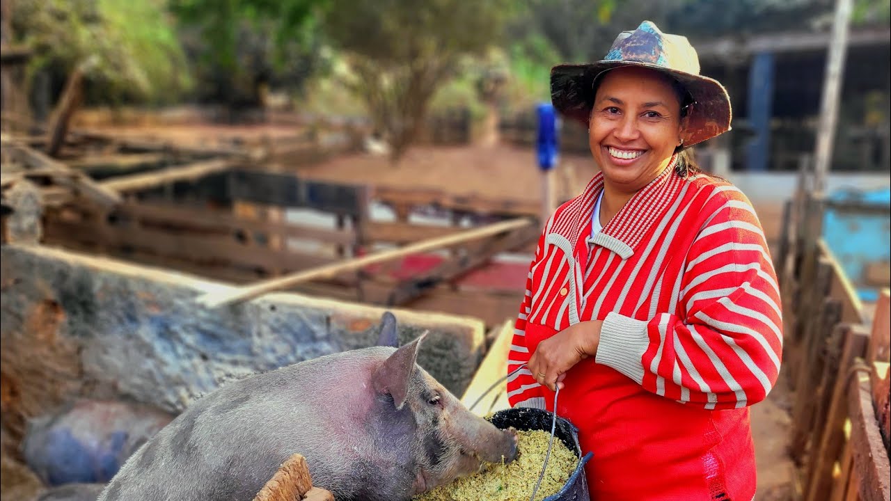 Desempenho com alimentação silagem e os benefícios do nosso manejo.
