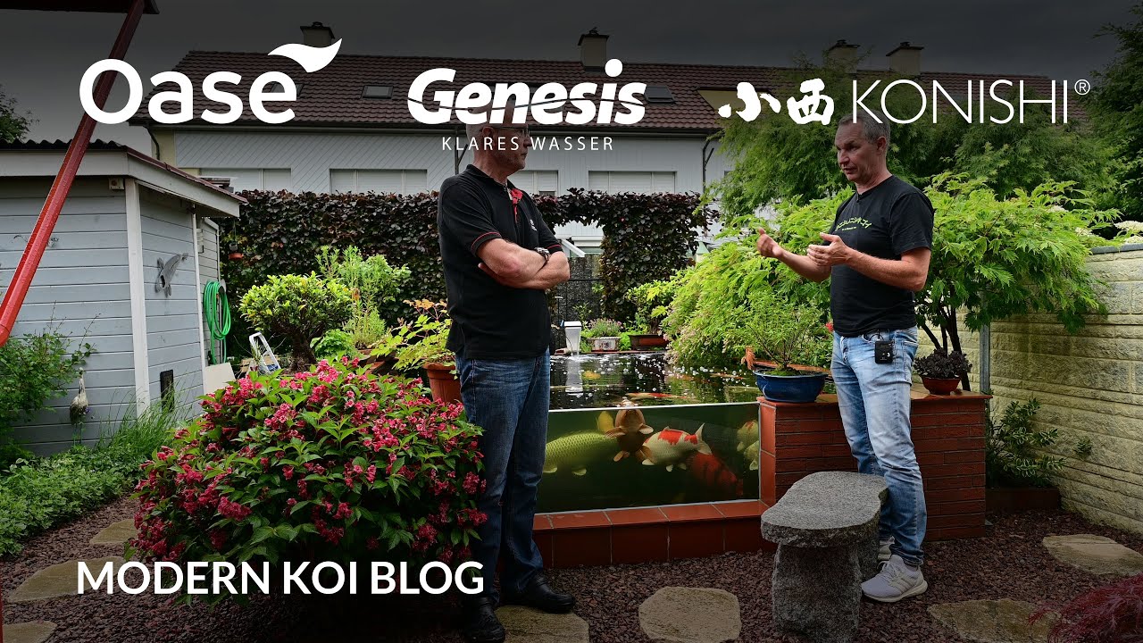Modern Koi Blog #5363 - Schweiz Spezial: Eine interessante Wasseranalyse an Beats Teich