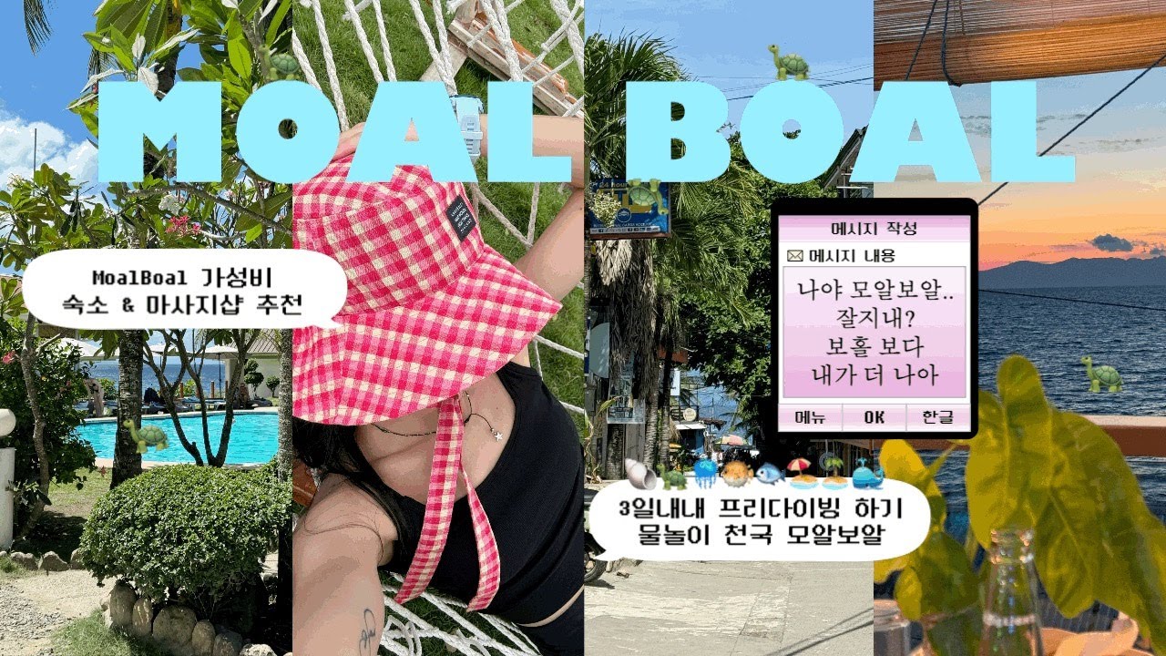 🇵🇭필리핀 모알보알 MOALBOAL🇵🇭 물친자들의 천국 ♡ 스쿠버?프리? No Problem!마사지&숙소&맛집 추천 ✓ 📍 거북이&정어리떼의 천국 🐢 가성비가 내려와