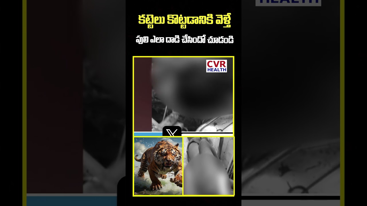 Man Attacked by Tiger in East Godavari Forest | CVR Health