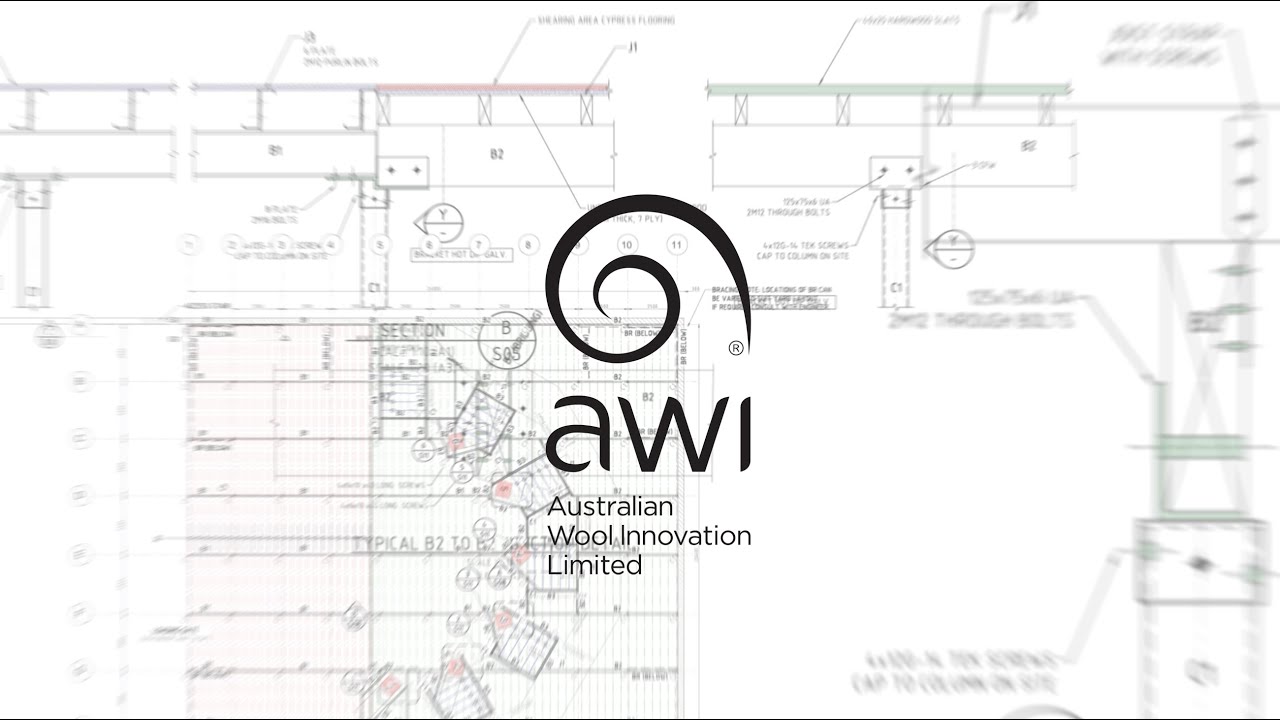 Проект AWI по стрижке овец и консультированию