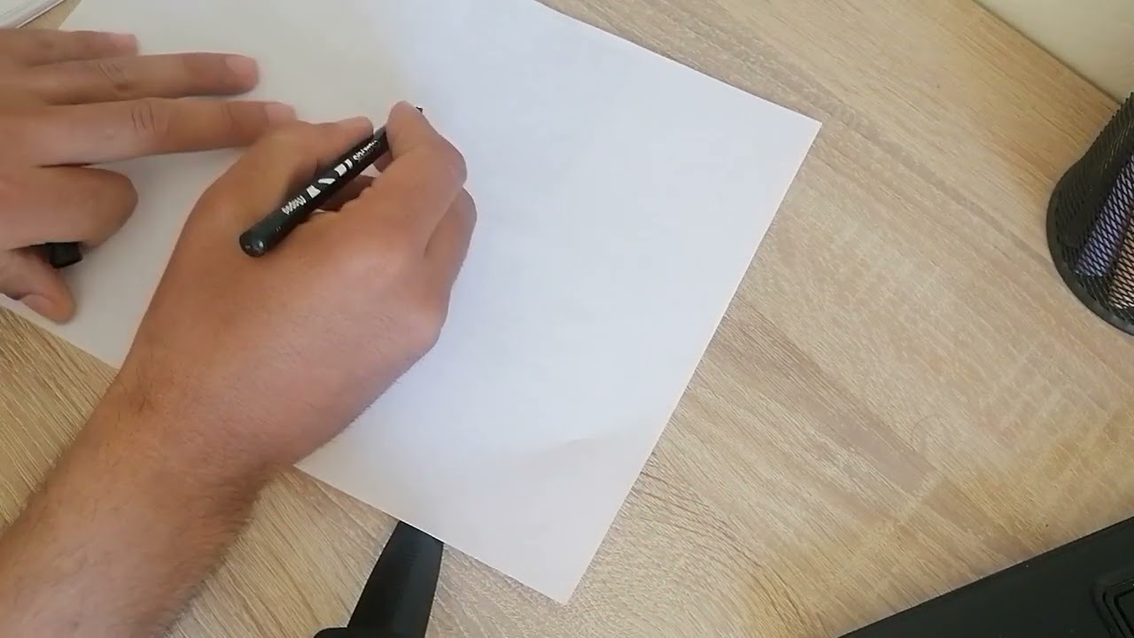 explications pour Tp1 :Étude de l'appareil végétale chez les cormophytes ( vidéo 1)