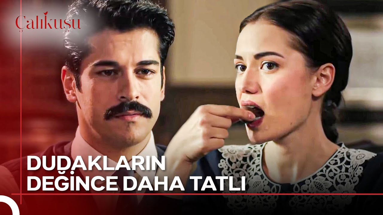 Ben Fondanı Değil Seni İstiyorum! | Çalıkuşu 8. Bölüm