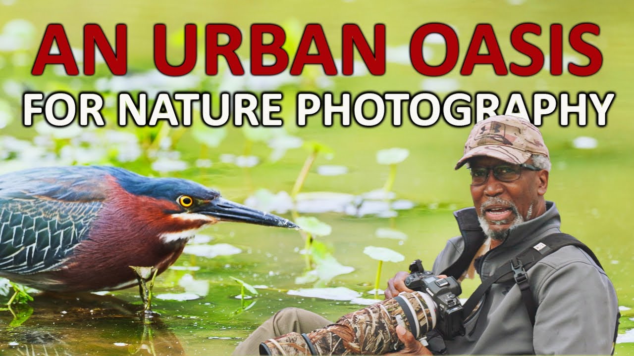 An Oasis For Urban Nature Photography