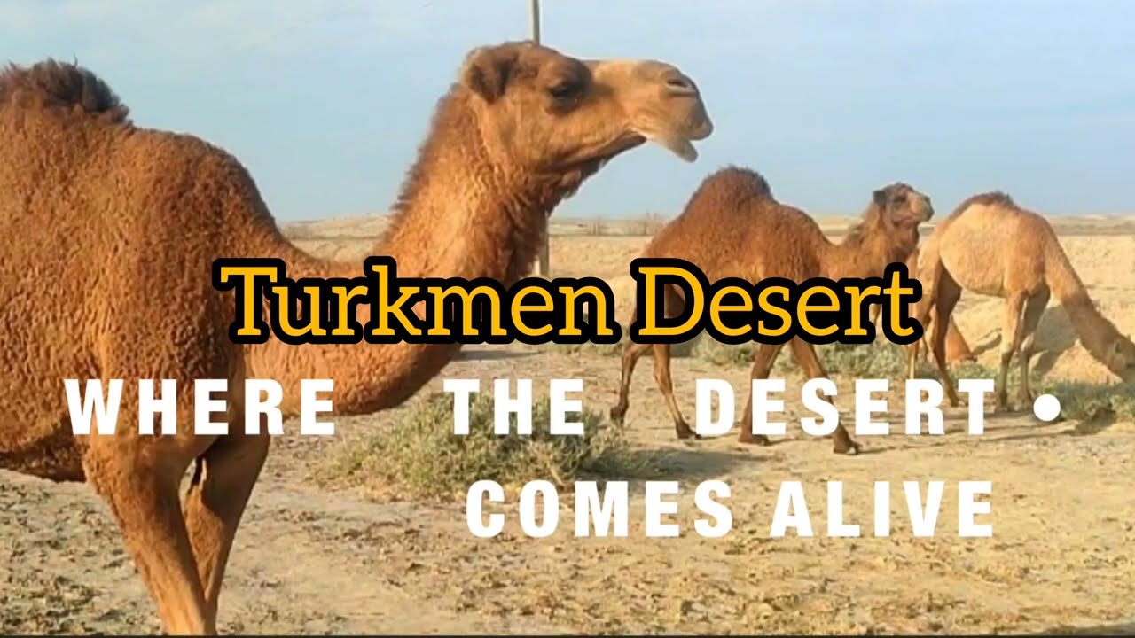 Alone in the Waterless Desert: Real Village Life in Turkmen Sahara –