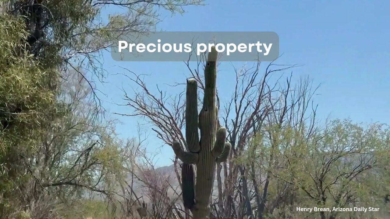 Pima County just bought this historic ranch house near Catalina State Park