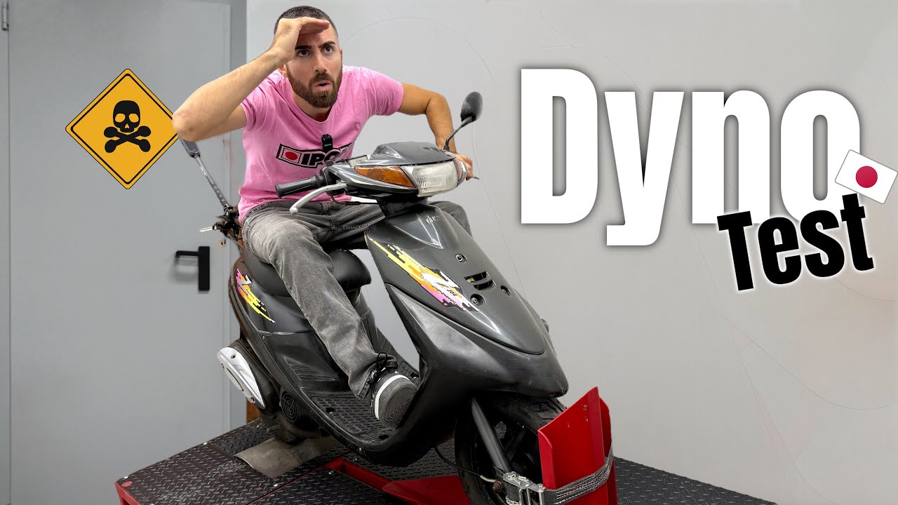 Τα άλογα του Γορίλα 🦍 | Το FX 😢