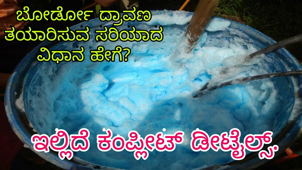 How to Prepare Bordeaux Mixture and Spraying Technique |ಬೋರ್ಡೋ ದ್ರಾವಣ ತಯಾರಿಸುವ ವಿಧಾನ | Agri Agree