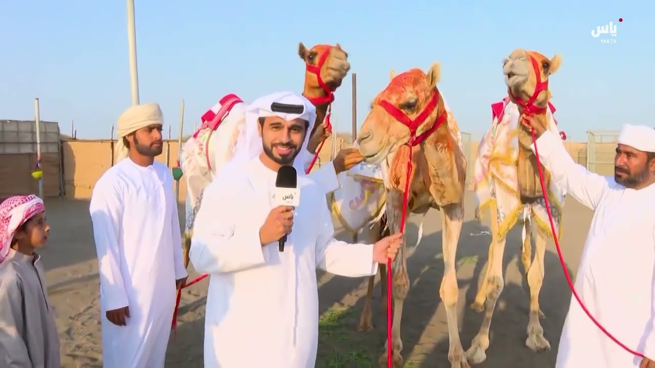 رسالة السباق السنوي للاتحاد العماني لسباقات الهجن | 30 يناير 2025