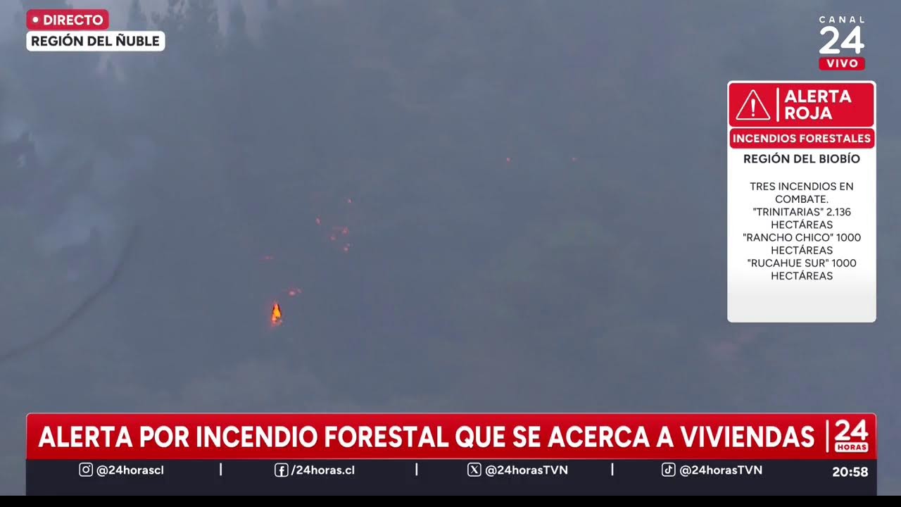 Incendio forestal descontrolado en Paredones