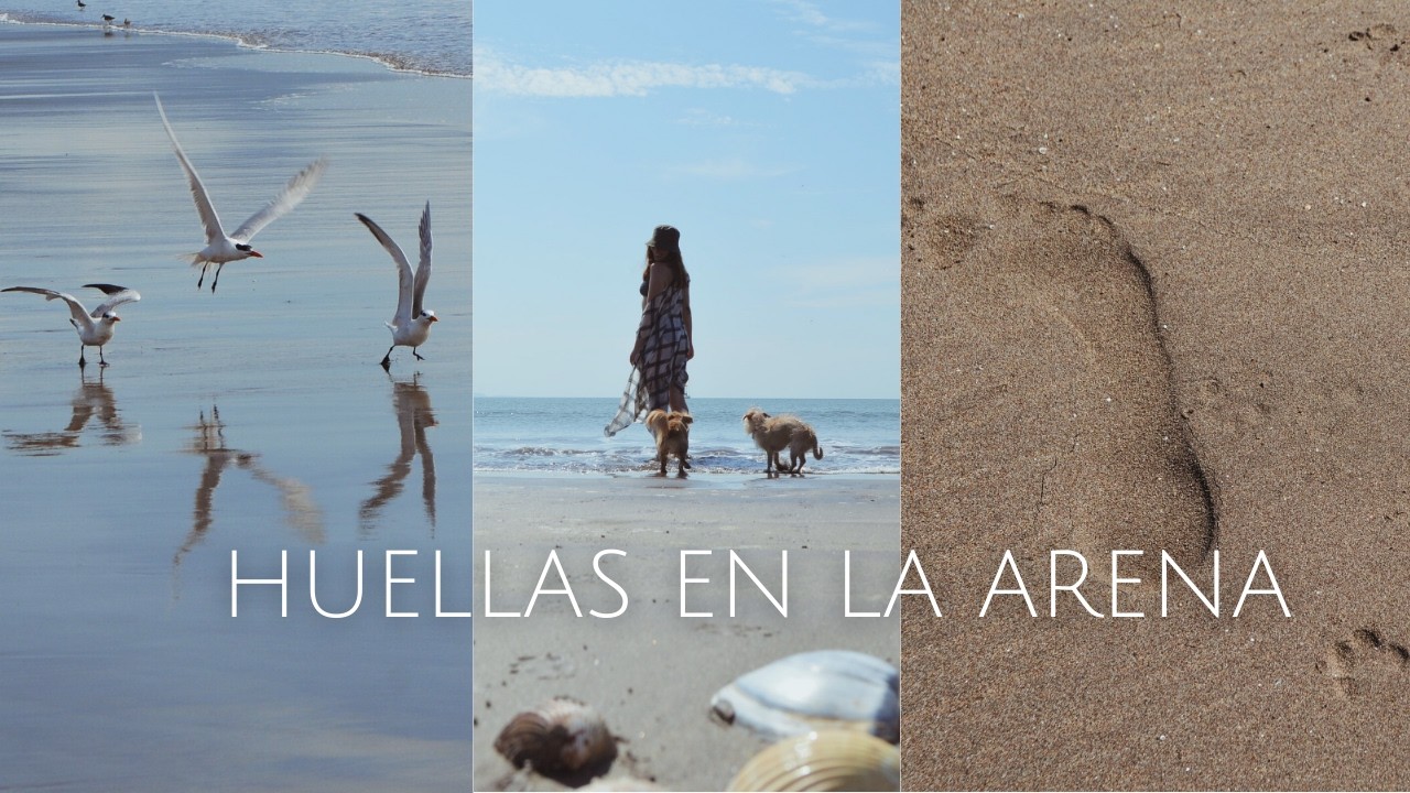 Huellas en la arena 𓇼 ⋆.˚ 𓆉 𓆝 𓆡⋆.˚ 𓇼