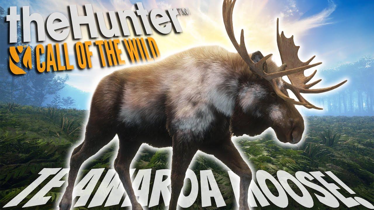 MOOSE ON TE AWAROA? We Hunted The MOCHA MOOSE! Call of the wild
