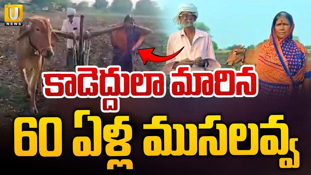 Farmer Ploughs Field with Wife After OX Dies | Maharashtra Women Farmer Viral Video | ITS UTV News