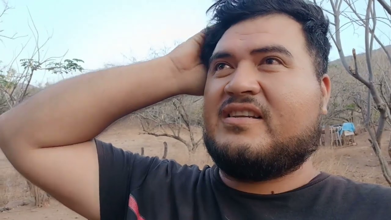 Ay pollos en venta  sacan un pescado grande  algo me esta pasando  mi amor felis con sus sobrinas
