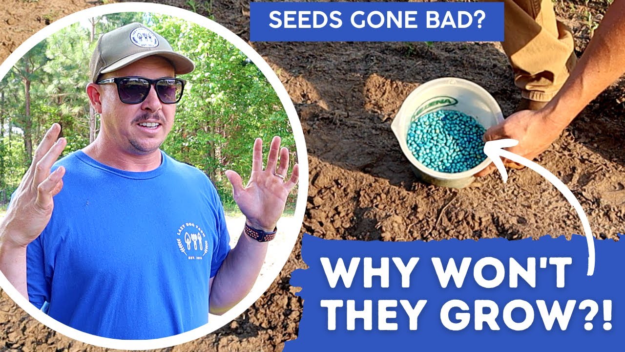 Don't Plant These in Your Garden!
