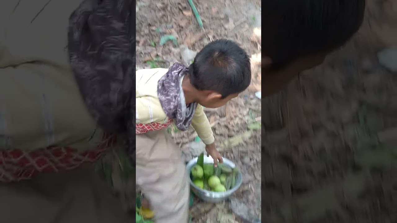 আবার পিয়ারা পারলাম গাছ থেকে