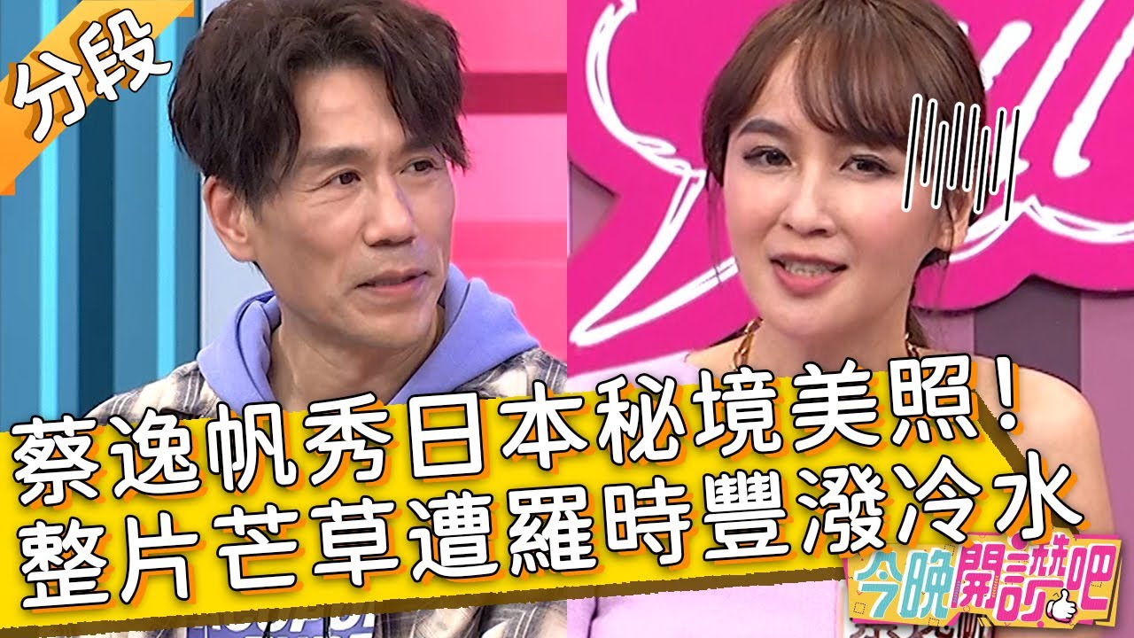 蔡逸帆秀日本秘境美照！整片芒草慘遭羅時豐潑冷水？賈斯汀 胡盈禎︱Part3/3 EP440 20230404︱#今晚開讚吧