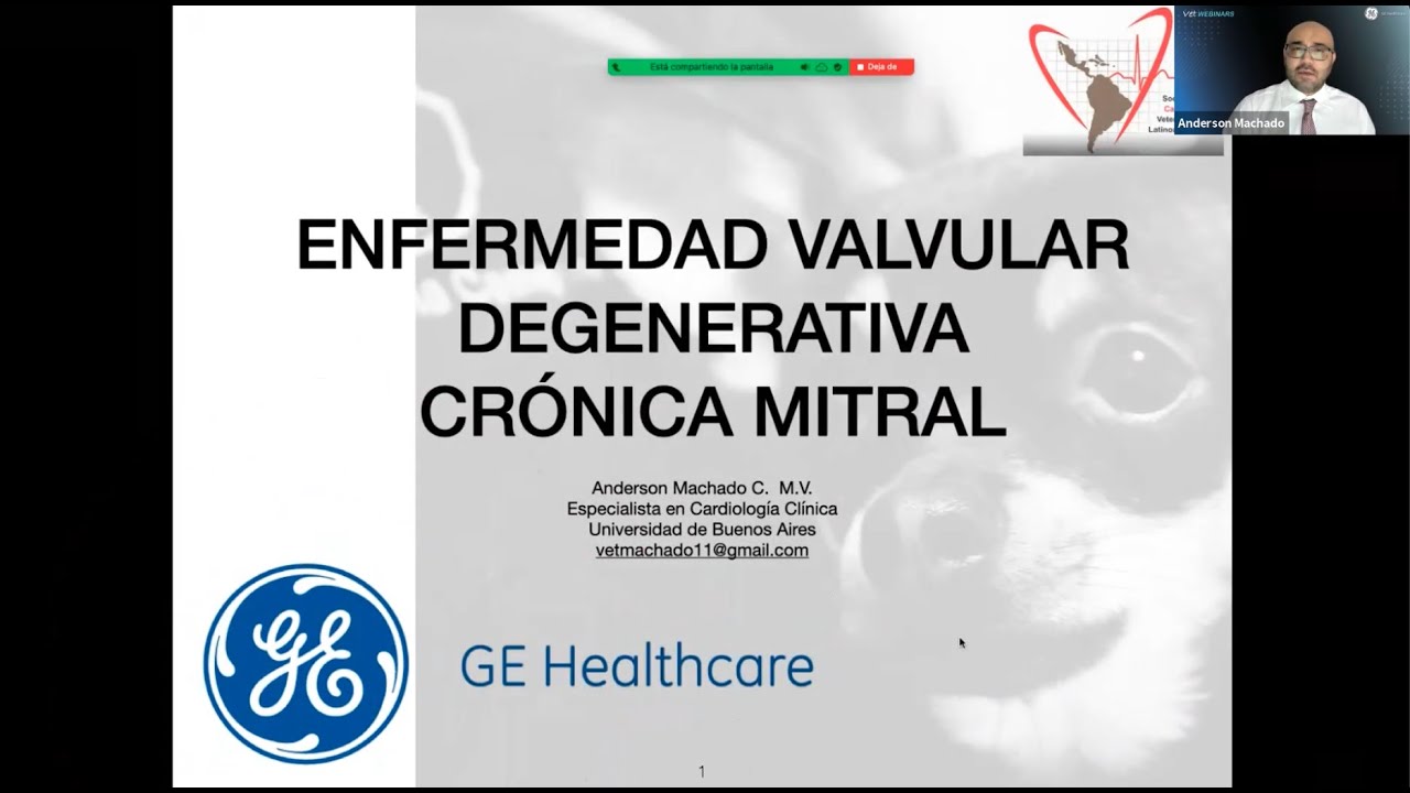 Valvulopatía Mitral Crónica:  Desde el Ultrasonido.  Charla para General Electric.