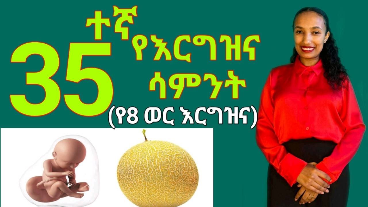 የእርግዝና ሰላሳአምስተኛ ሳምንት (የስምንት ወር እርግዝና) // 35 weeks of pregnancy ;What to Expect