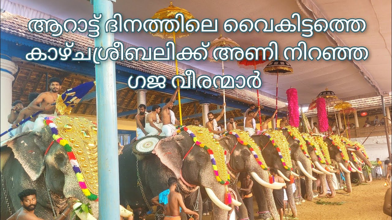 ആറാട്ട് ദിനത്തിലെ വൈകിട്ടത്തെ കാഴ്ചശ്രീബലിക്ക്  പൂർണ്ണത്രയെശനെ ശിരസ്സിൽ ഏറ്റി മീനാട് വിനായകൻ!!🐘2025🙏