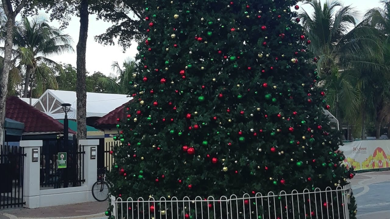 Little Havana, Miami  #littlehavana #miami #florida