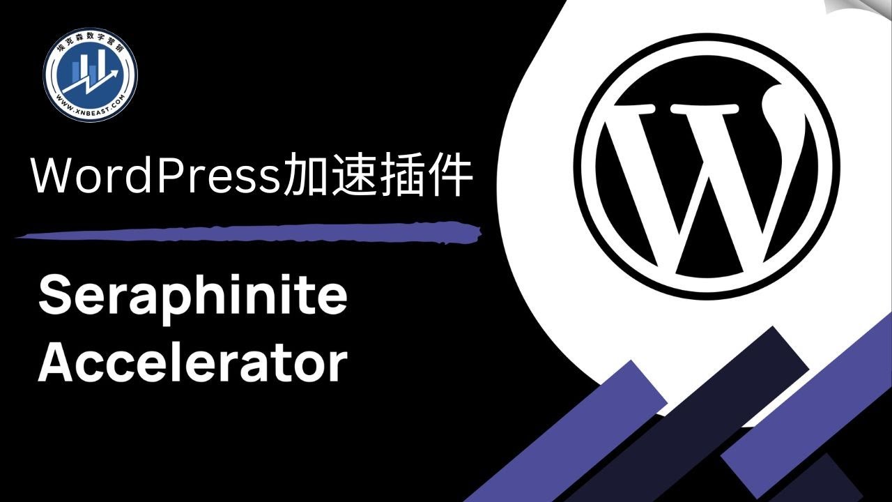 WordPress网站速度优化插件Seraphinite Accelerator