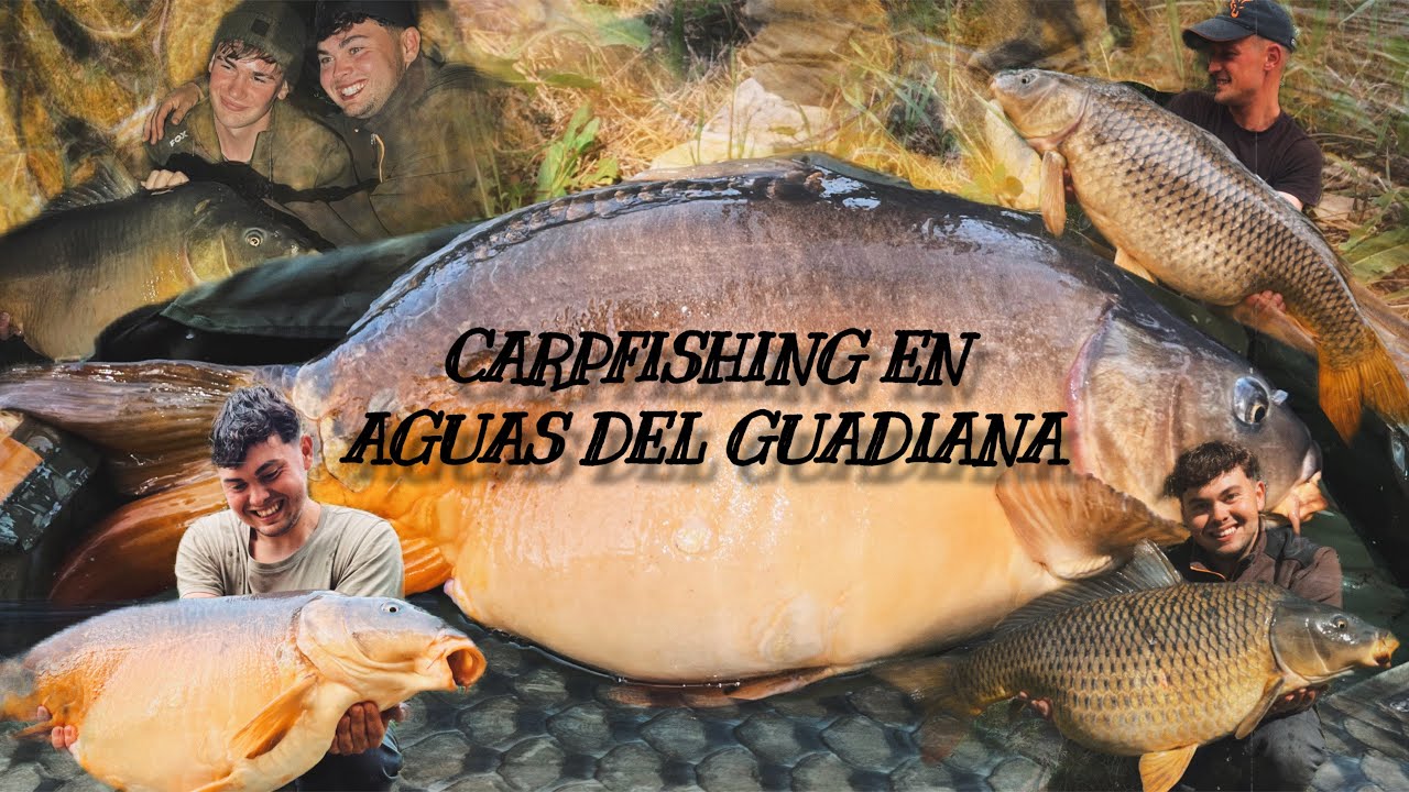 Carpfishing en aguas del Guadiana