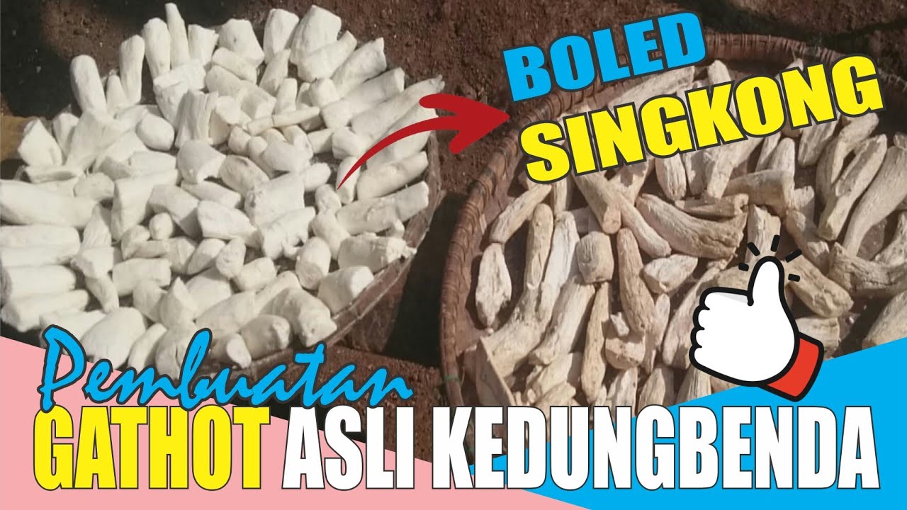 PEMBUATAN GATHOT SINGKONG || Cara Mengolah Singkong Menjadi Gatot Asli Ds. Kedungbenda - Kemangkon