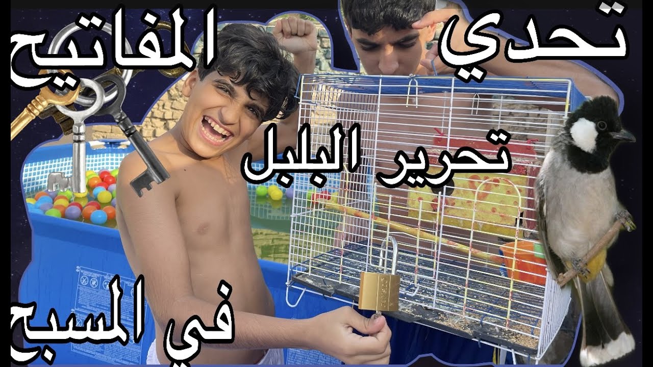 تحدي المفاتيح في المسبح  منو يفتح قفص البلبل