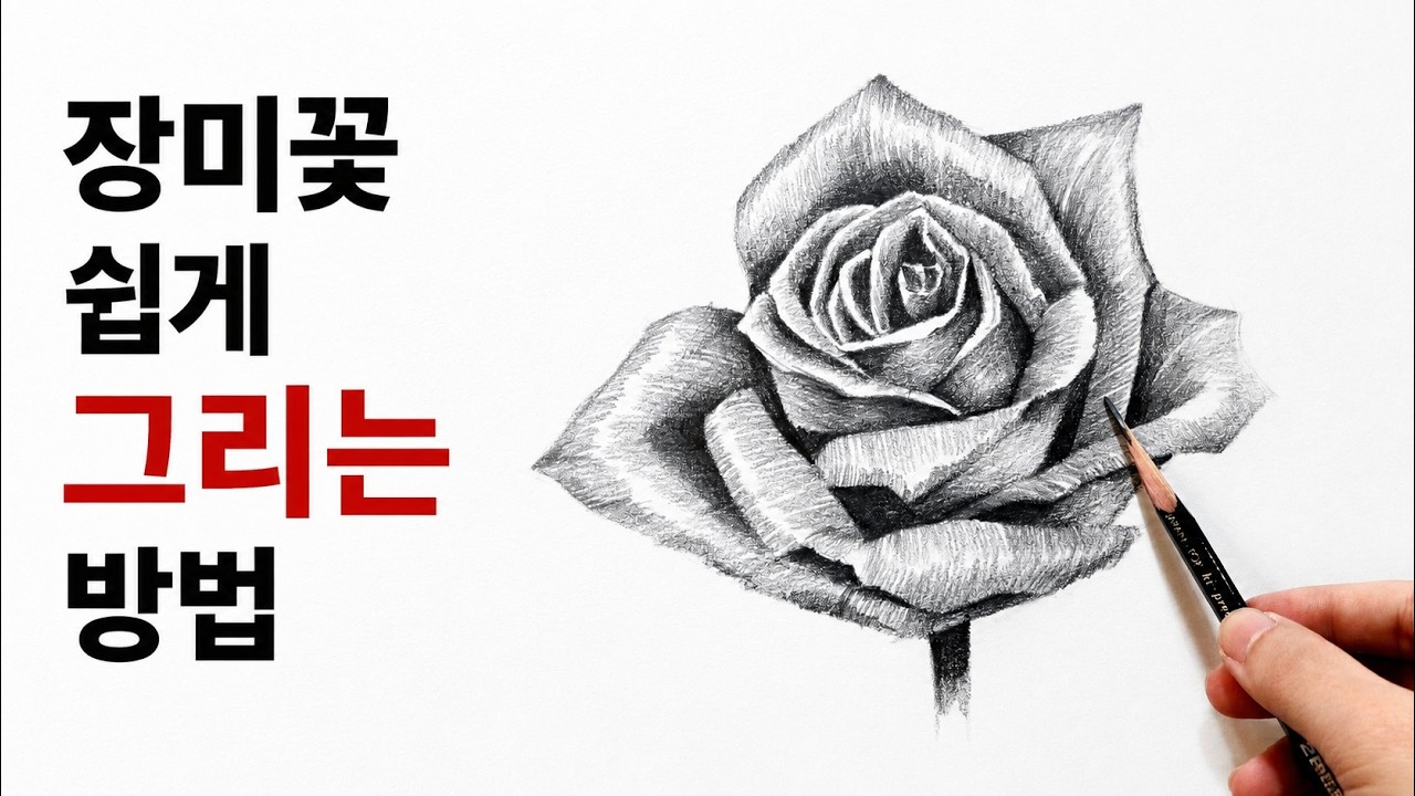 초보자를 위한 장미꽃 쉽게 그리는 방법 / 연필소묘 수업