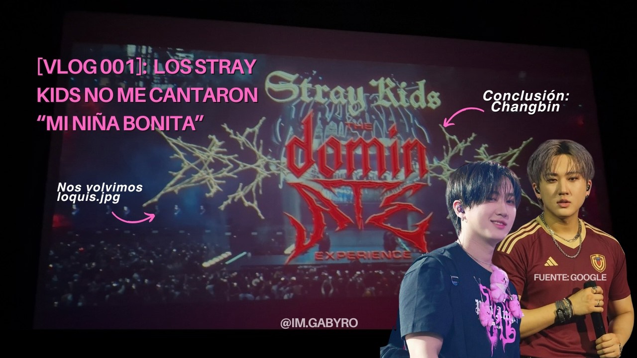 VLOG 001: Los Stray Kids no me cantaron 