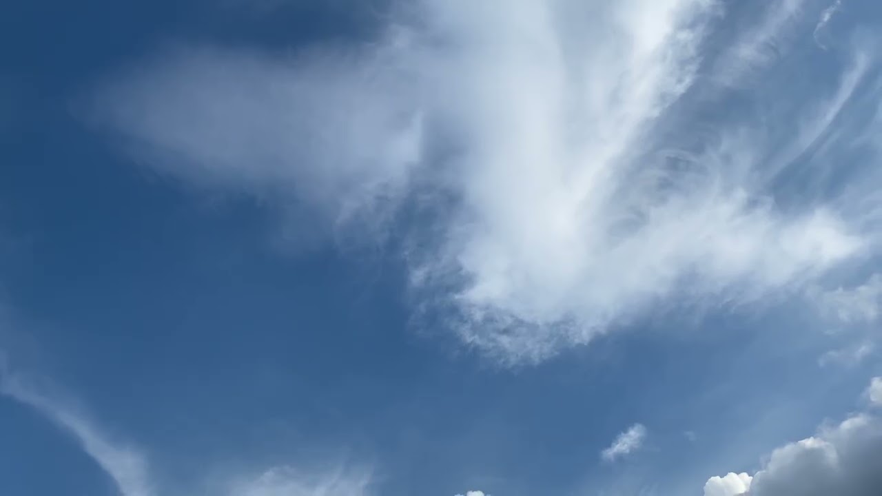 Clouds look like birds.   雲は鳥のように見えます