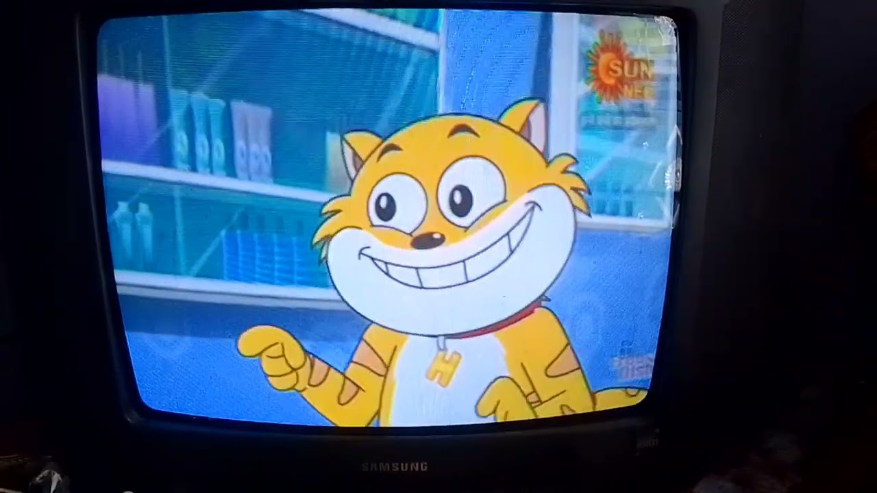 Kitty ka parlour 🤣😆😋😜#comadin #comand #funny #love #song #ytshort #facts 