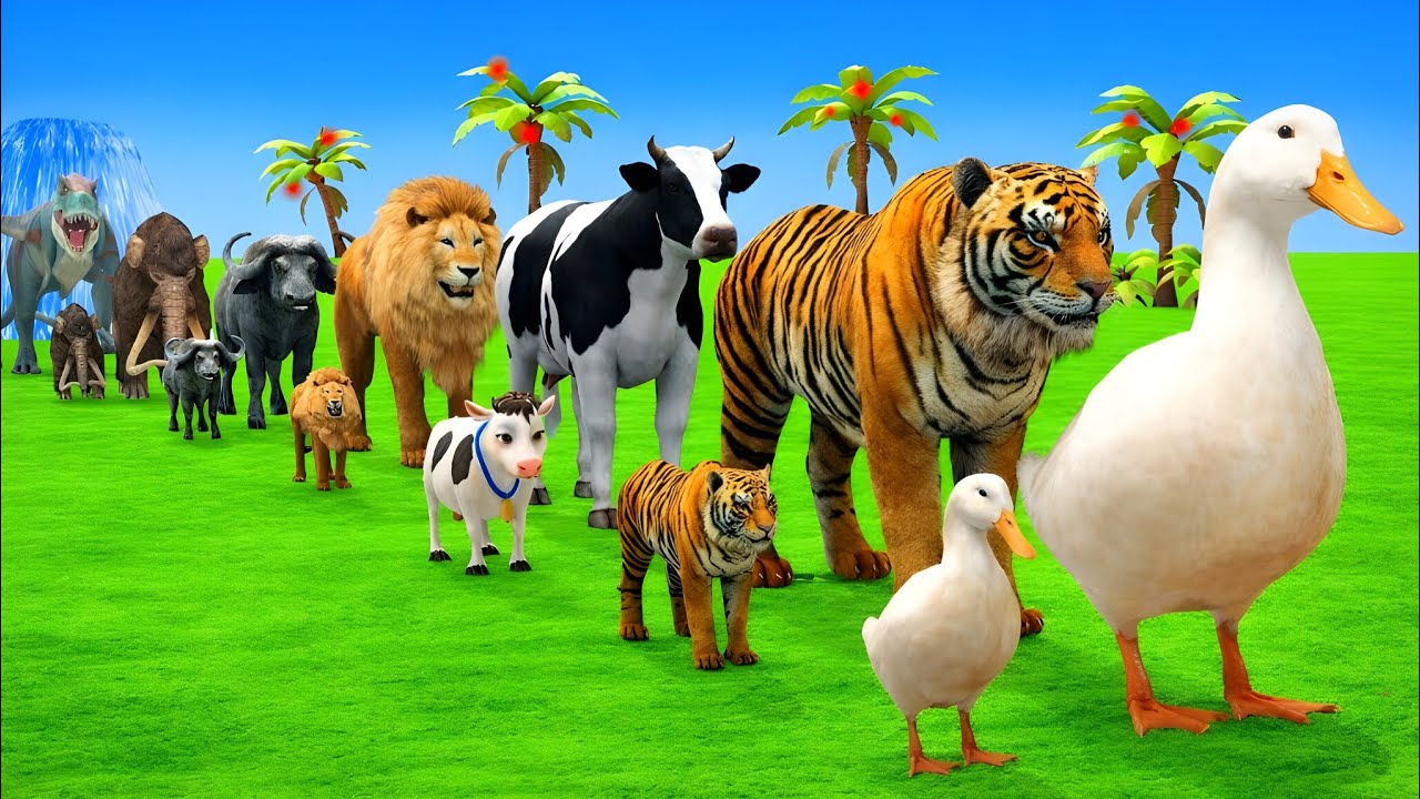 Long Slide Game With Elephant Gorilla Buffalo Hippopotamus Tiger - 3d Animal Game - Gigo Colour 03