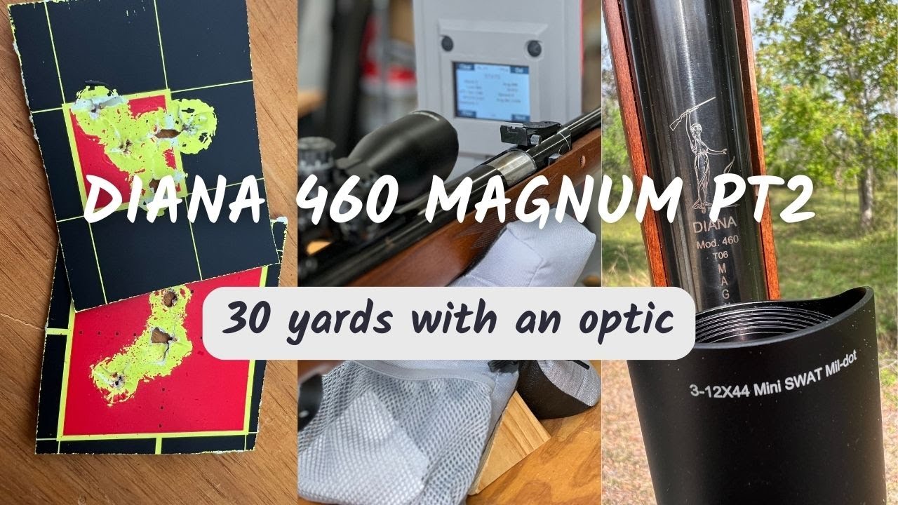 Revisiting the Diana 460 Magnum Springer w/a new UTG Accushot - 31 yards with the .22 cal JSB Hades