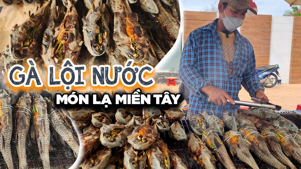 Loài cá tưởng chừng bỏ đi lại được chế biến thành đặc sản bán kiếm tiền triệu mỗi ngày | Ăn Ngon TV