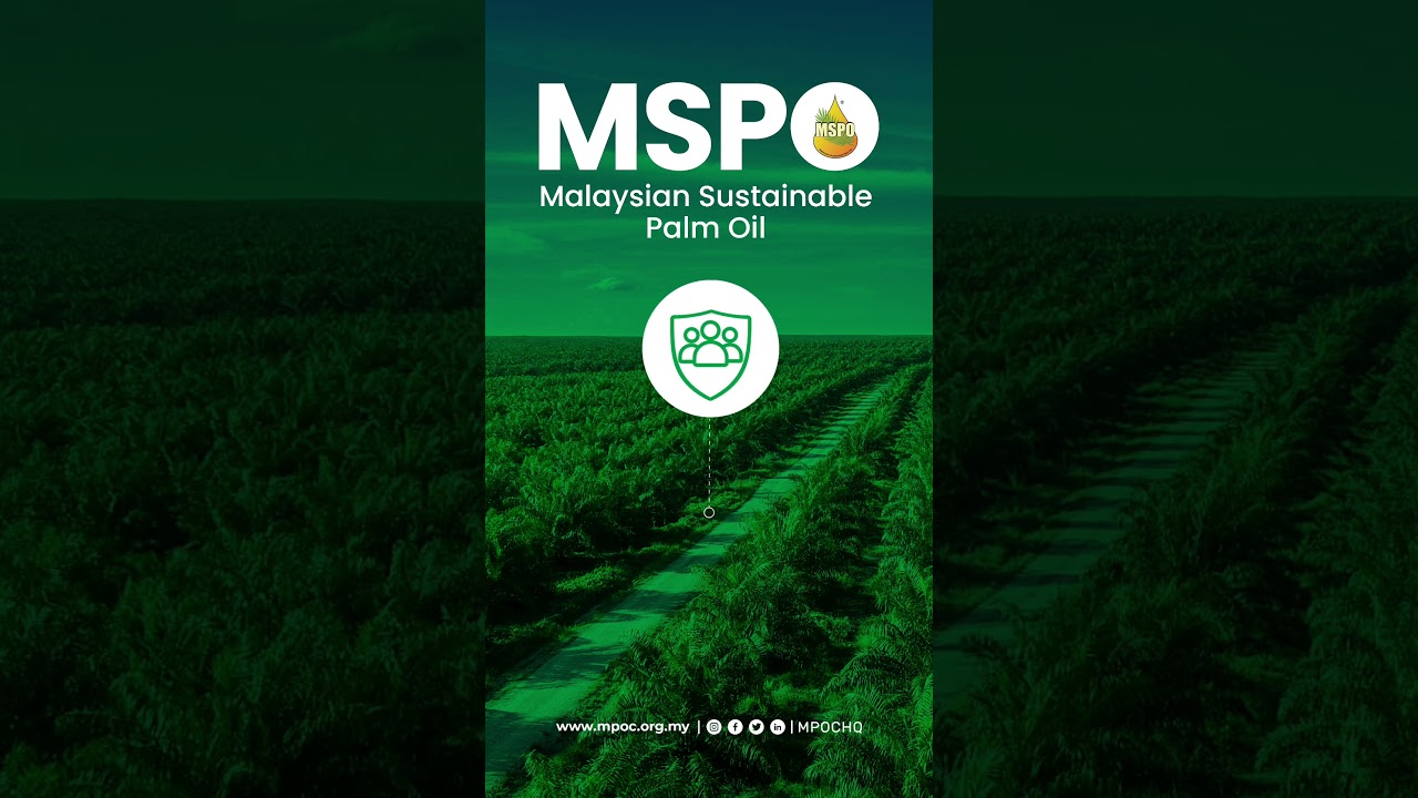 MSPO | 5 Principles