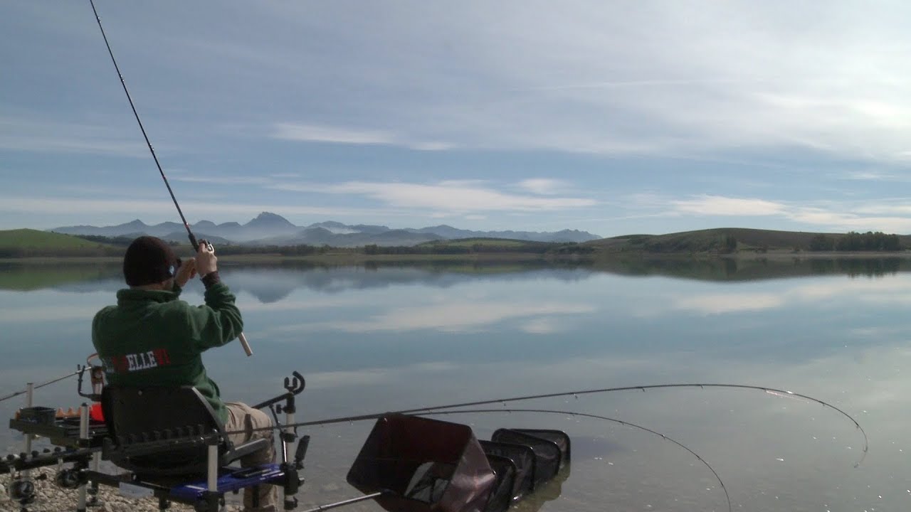 DEMOS PESCA DE CARPAS EN BORNOS