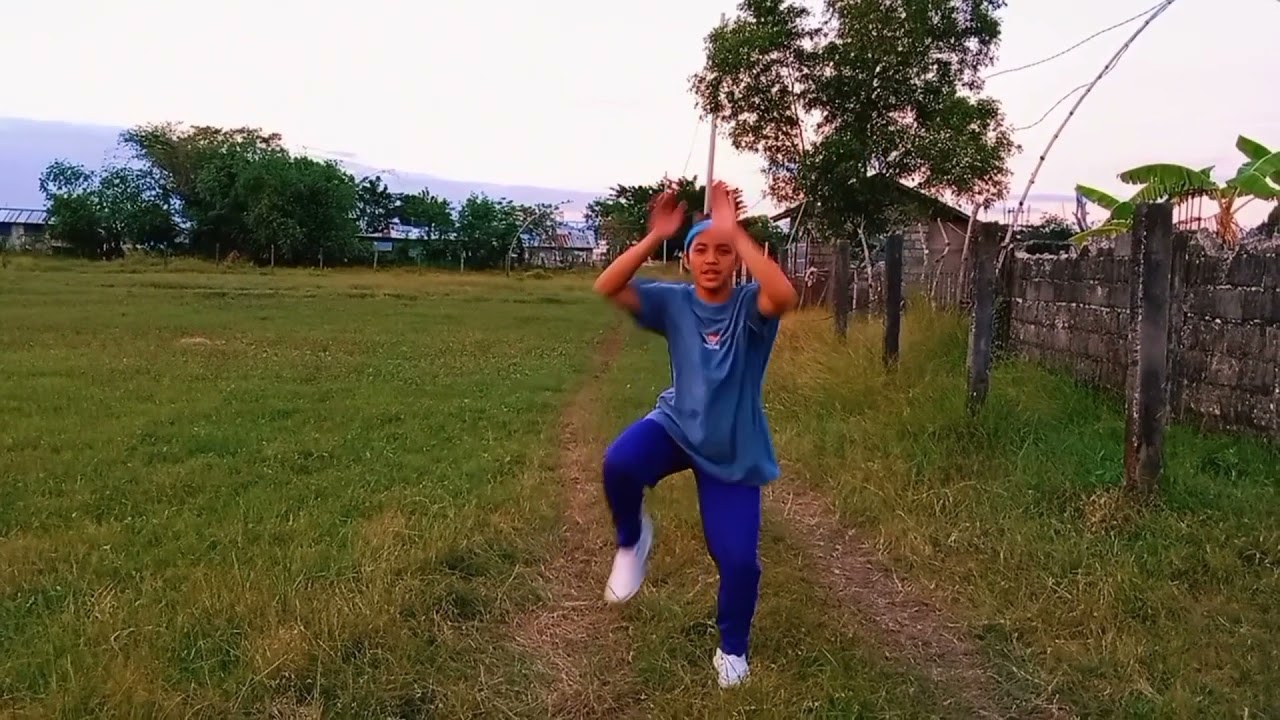 Aerobics- John Carlo Palad BSEd-1B